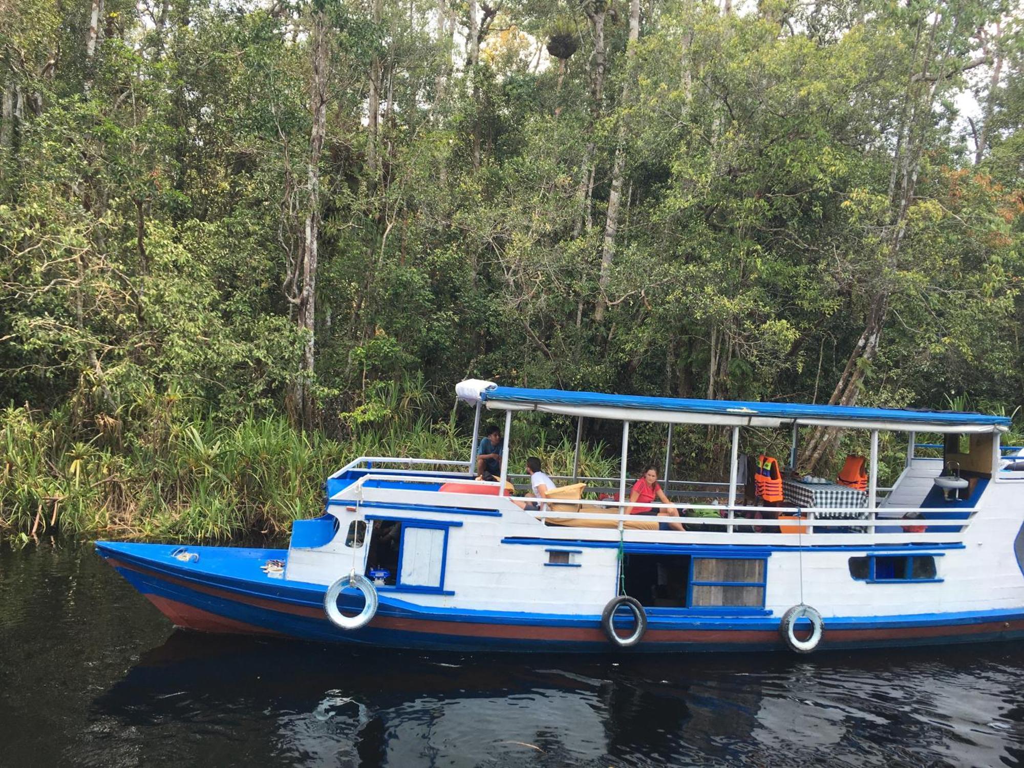 Orangutan Shaka Houseboat With Cabin Pangkalanbuun Zewnętrze zdjęcie