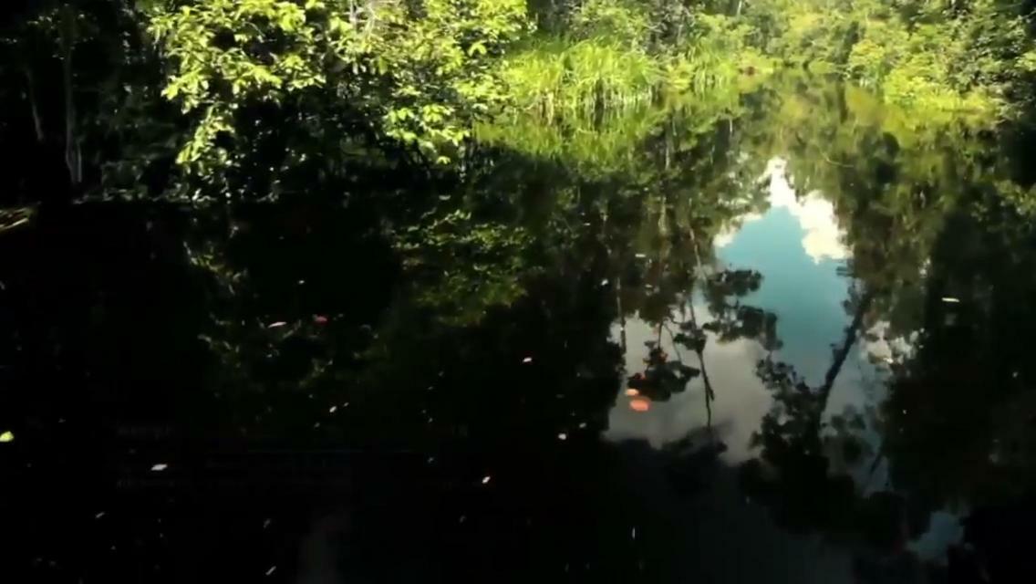 Orangutan Shaka Houseboat With Cabin Pangkalanbuun Zewnętrze zdjęcie