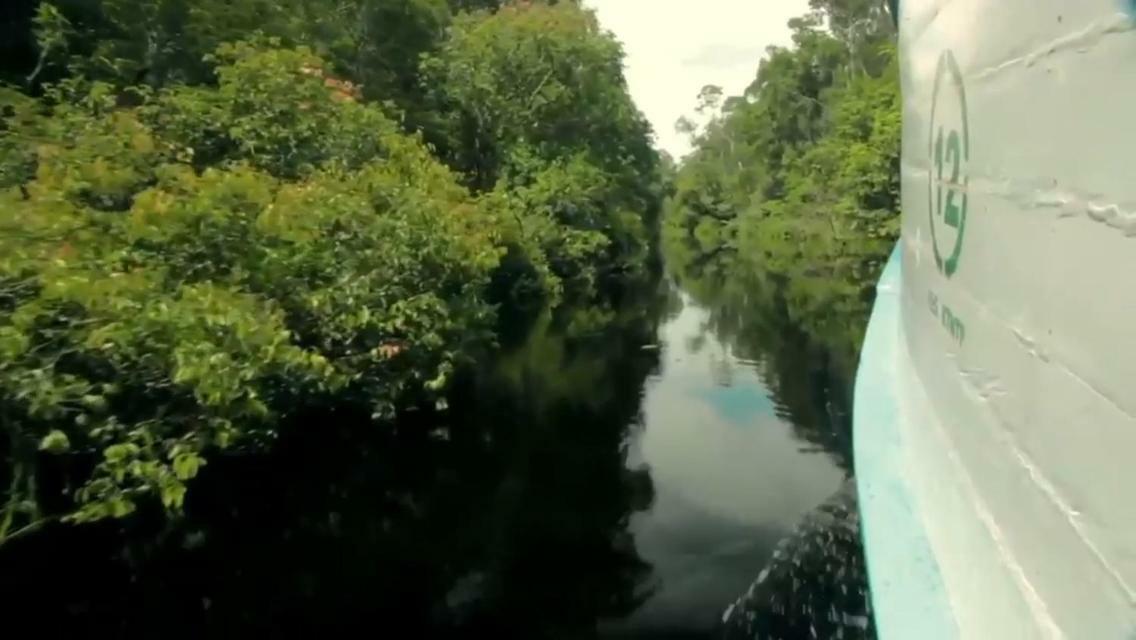 Orangutan Shaka Houseboat With Cabin Pangkalanbuun Zewnętrze zdjęcie