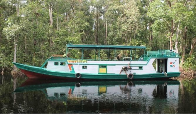 Orangutan Shaka Houseboat With Cabin Pangkalanbuun Zewnętrze zdjęcie