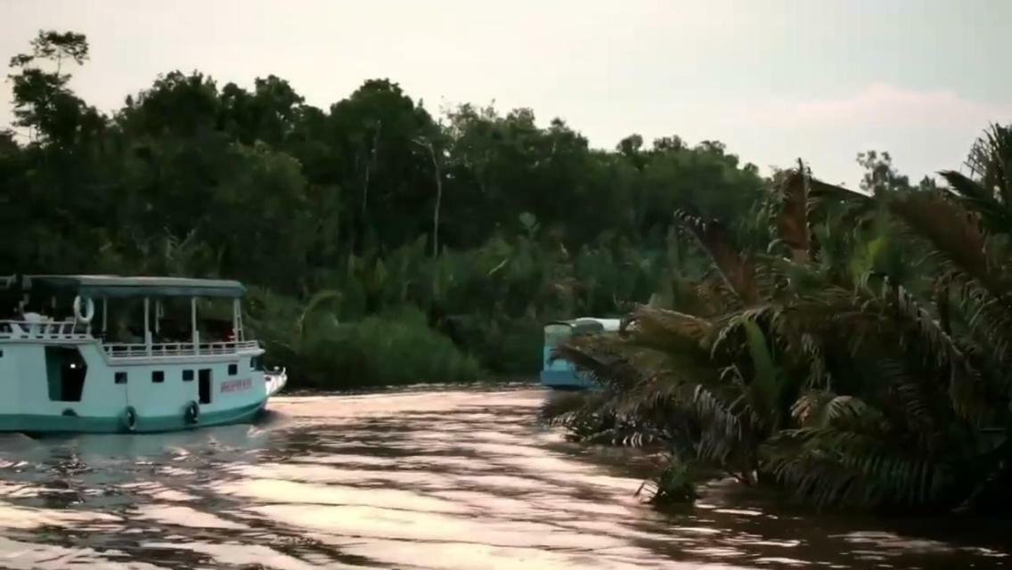 Orangutan Shaka Houseboat With Cabin Pangkalanbuun Zewnętrze zdjęcie