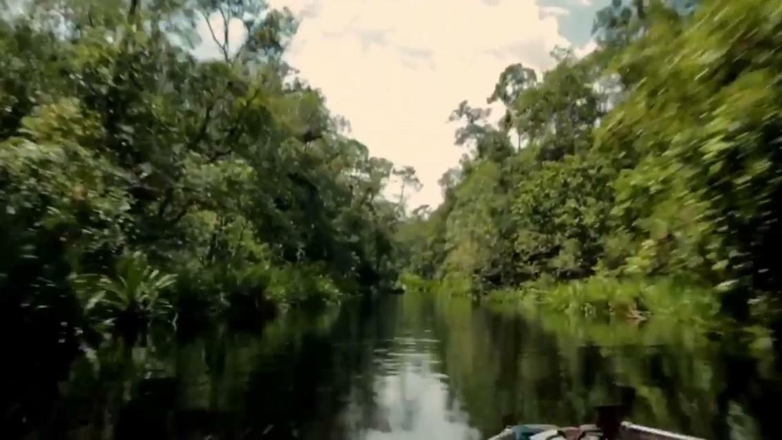 Orangutan Shaka Houseboat With Cabin Pangkalanbuun Zewnętrze zdjęcie