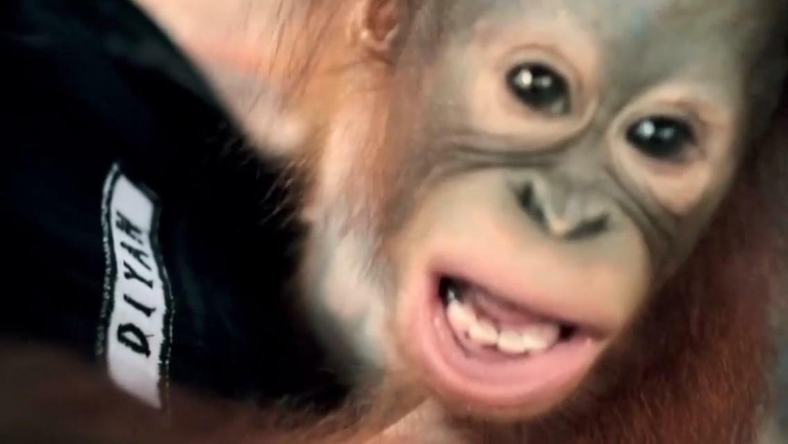 Orangutan Shaka Houseboat With Cabin Pangkalanbuun Zewnętrze zdjęcie