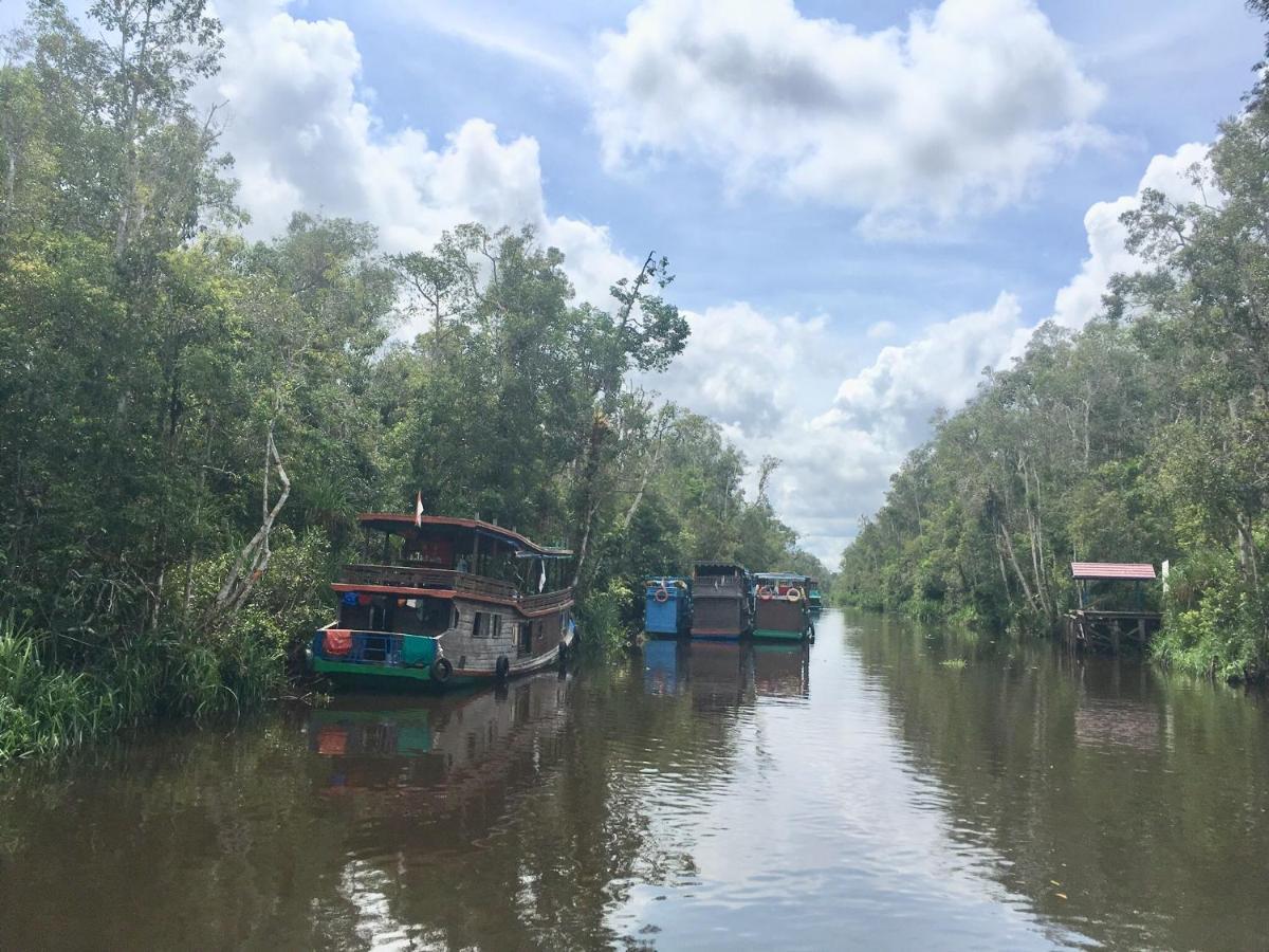 Orangutan Shaka Houseboat With Cabin Pangkalanbuun Zewnętrze zdjęcie